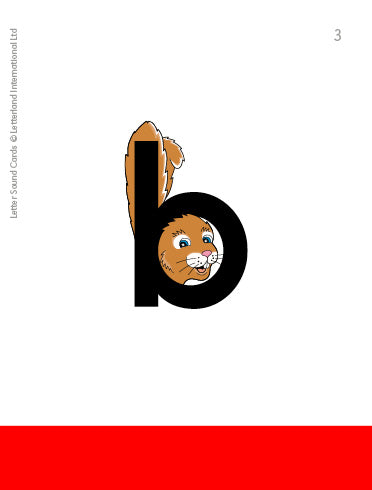 Letter Sound Cards
