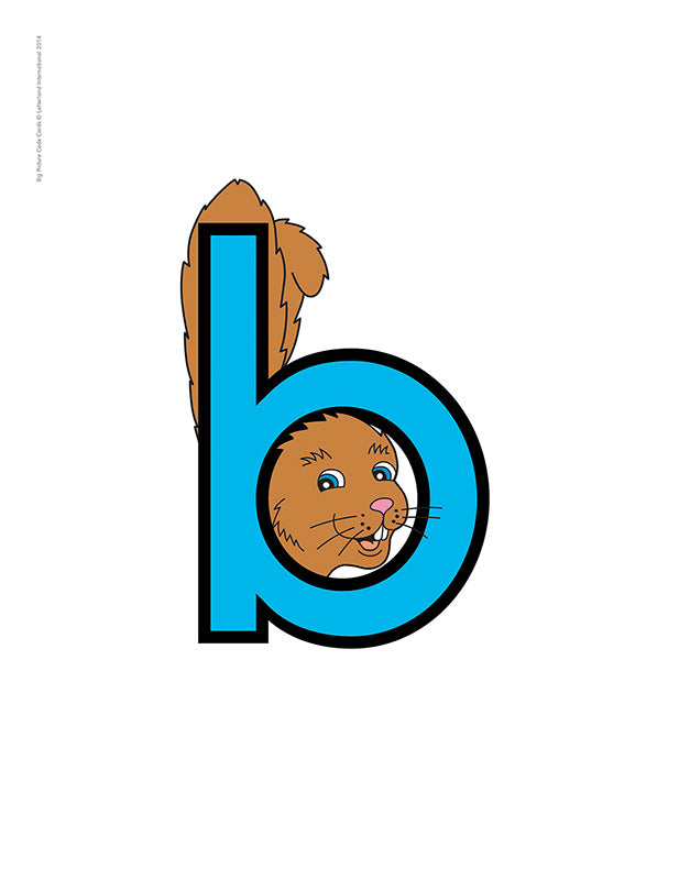 Big Picture Code Cards - Lowercase