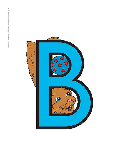 Big Picture Code Cards - Uppercase