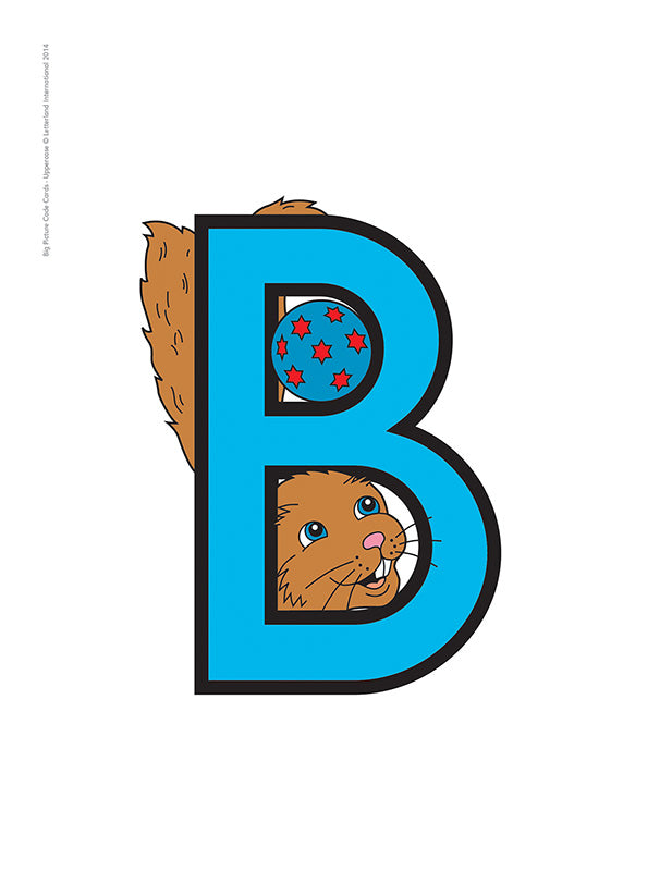 Big Picture Code Cards - Uppercase